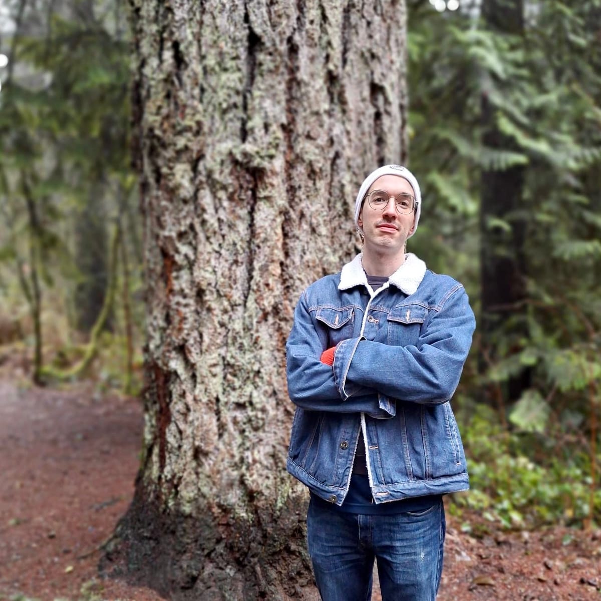 Upcoming: Western Red Cedar at Tyrant Studios